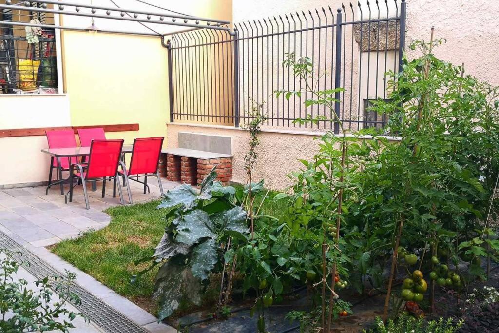 Cozy House With Garden In The Old Town Apartment Thessaloníki Luaran gambar